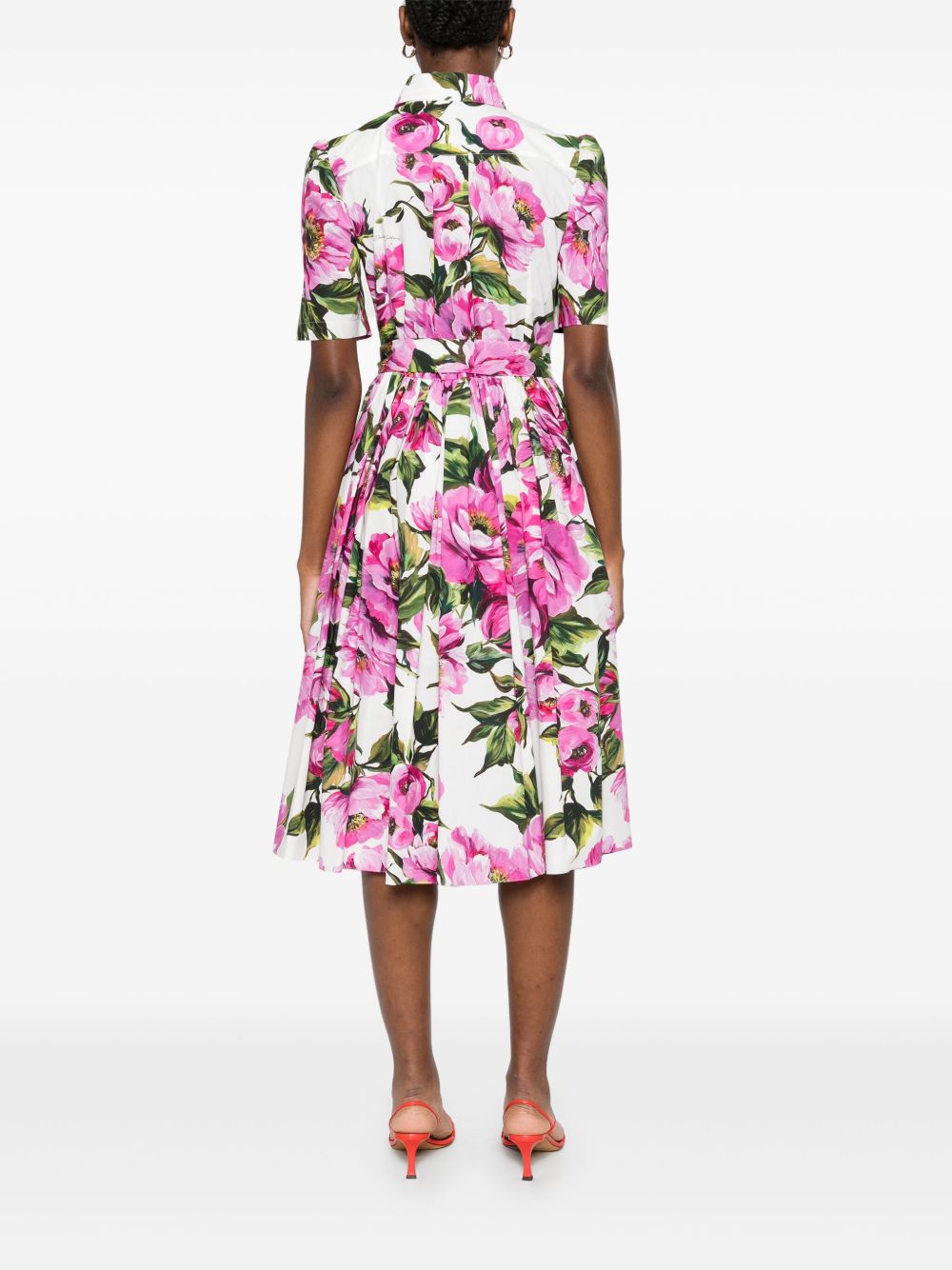 Dolce & Gabbana peony print midi dress