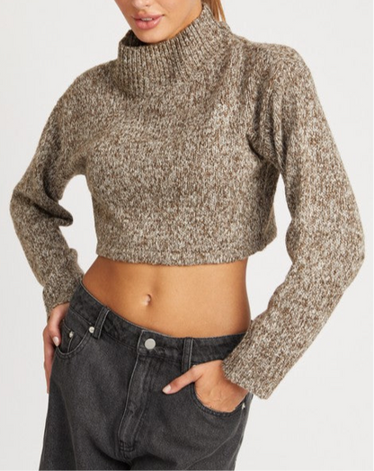 “TRINIECE” CONTRASTED TURTLE NECK CROP TOP