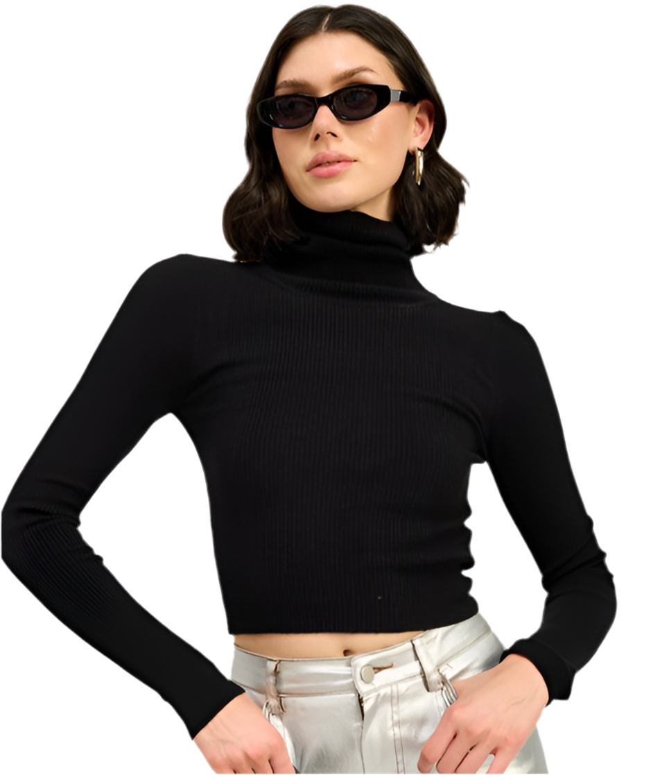 “ALEXANDREA” TURTLE NECK LONG SLEEVE TOP