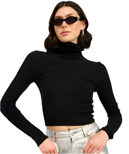 “ALEXANDREA” TURTLE NECK LONG SLEEVE TOP