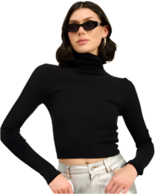 “ALEXANDREA” TURTLE NECK LONG SLEEVE TOP