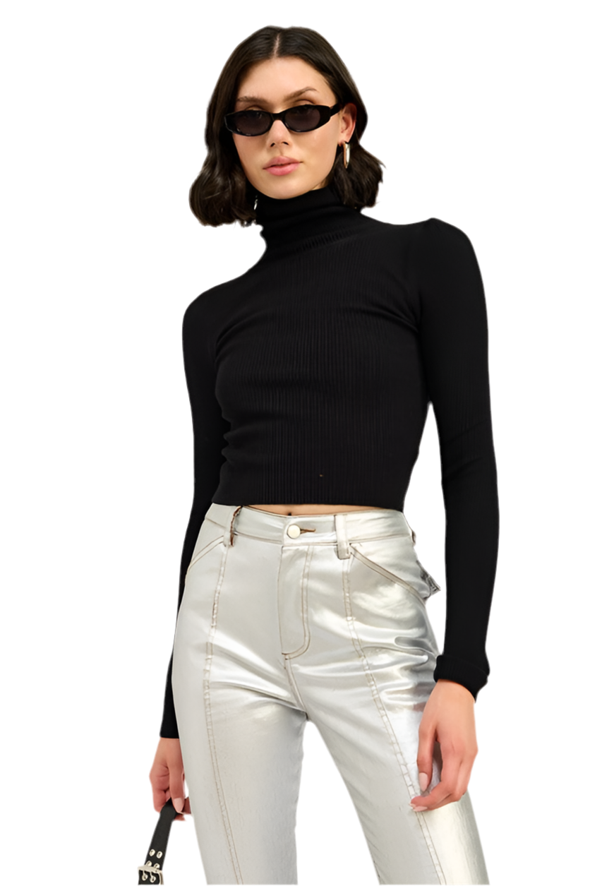 “ALEXANDREA” TURTLE NECK LONG SLEEVE TOP