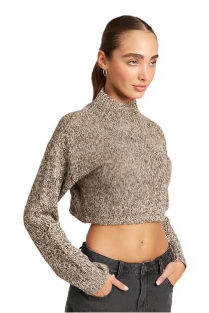 “TRINIECE” CONTRASTED TURTLE NECK CROP TOP