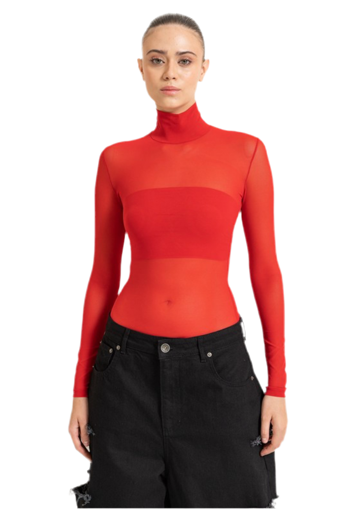 “FANCY” SHEER MESH TURTLENECK