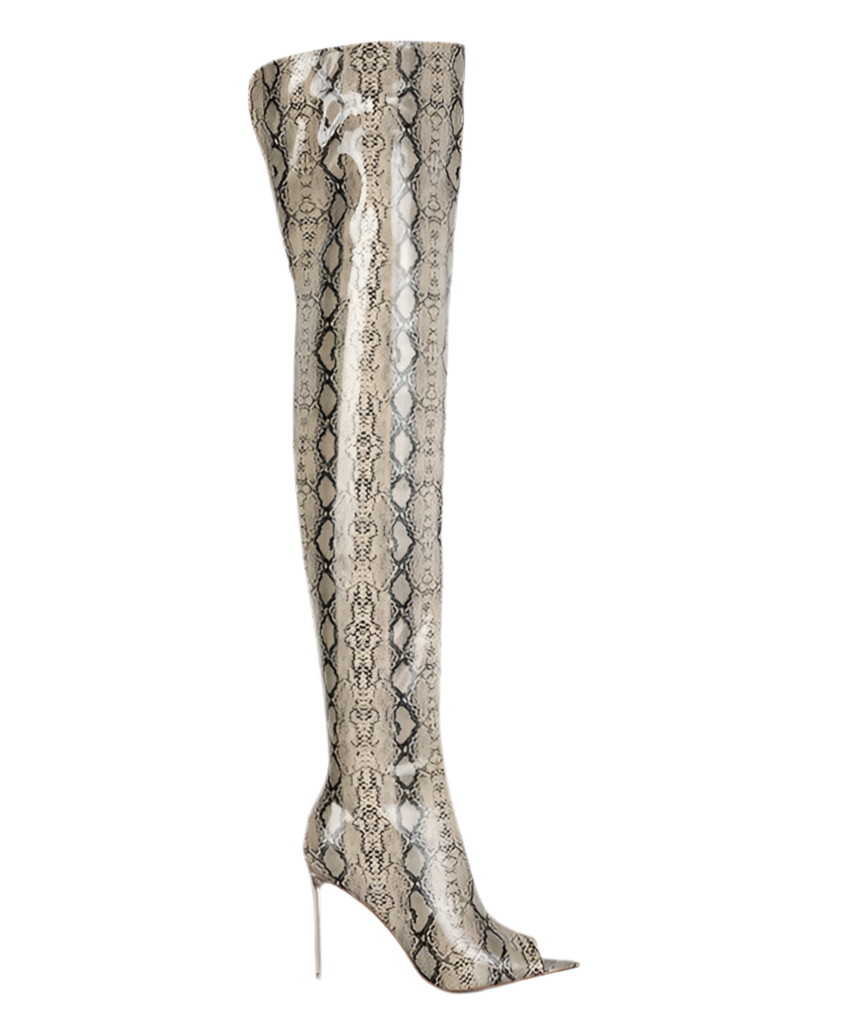 “DARRA” Snake Print Stiletto Long Boots